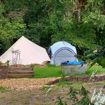 Tente Insolite En Pleine Nature Treduder Εξωτερικό φωτογραφία